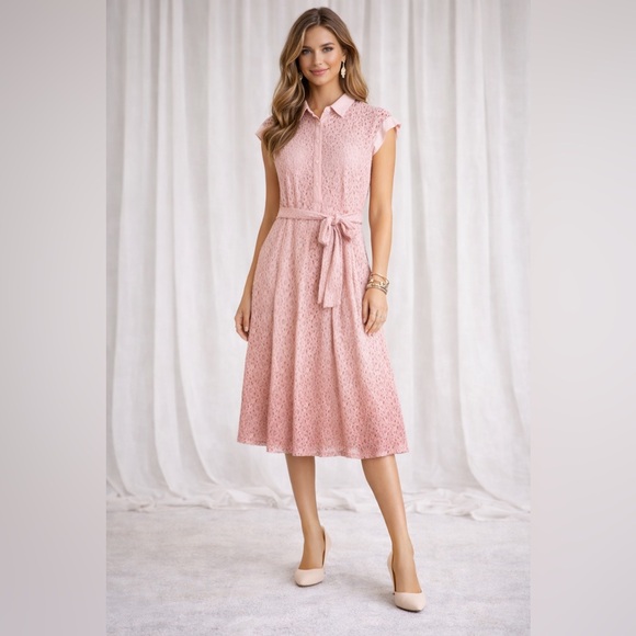 Abbey Glass Dresses & Skirts - Abbey Glass Pink Lace Midi Dress Small Sheer Belted Collared